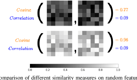 Figure 2 for What Affects Learned Equivariance in Deep Image Recognition Models?
