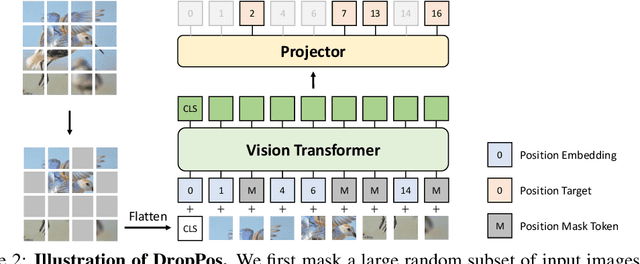 Figure 3 for DropPos: Pre-Training Vision Transformers by Reconstructing Dropped Positions