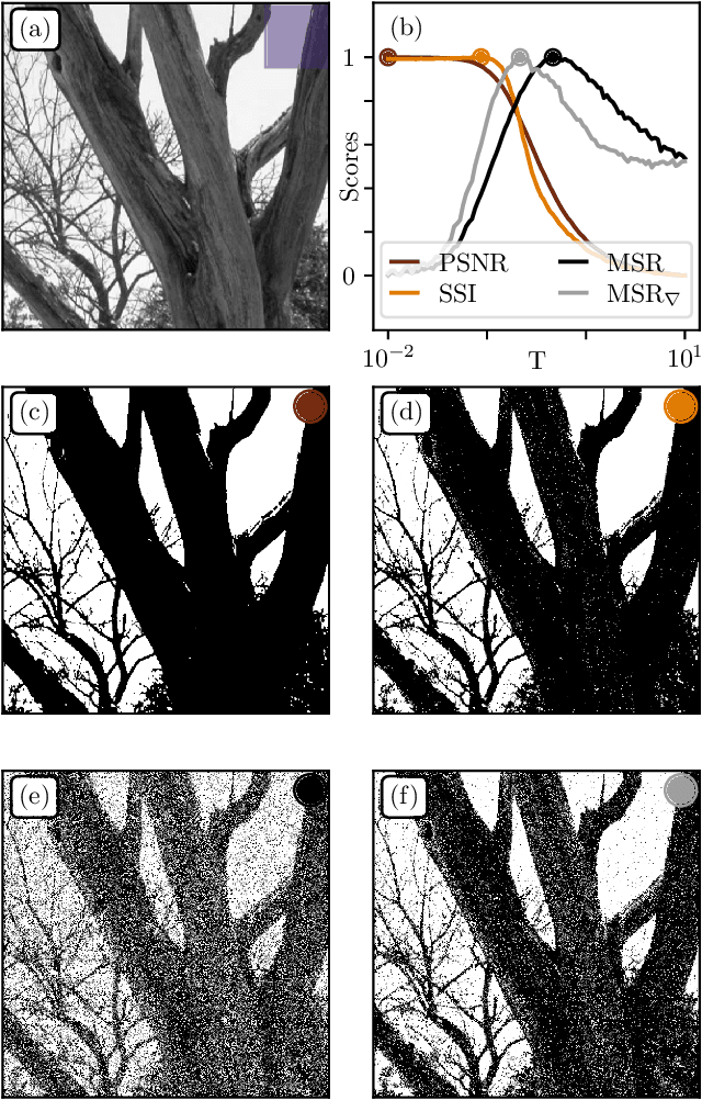 Figure 2 for Multiscale Relevance of Natural Images