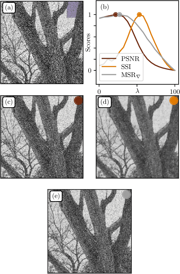 Figure 3 for Multiscale Relevance of Natural Images