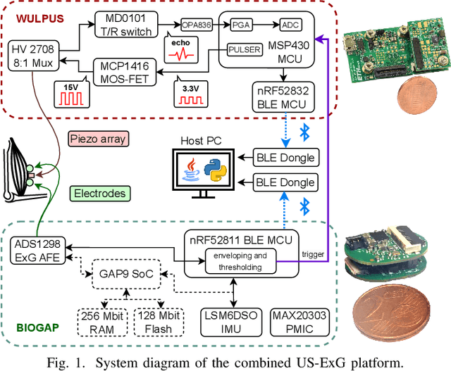 Figure 1 for A Wearable Ultra-Low-Power sEMG-Triggered Ultrasound System for Long-Term Muscle Activity Monitoring