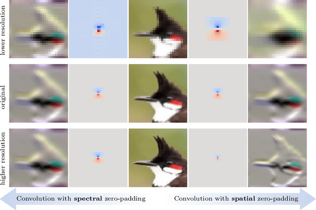 Figure 1 for Resolution-Invariant Image Classification based on Fourier Neural Operators