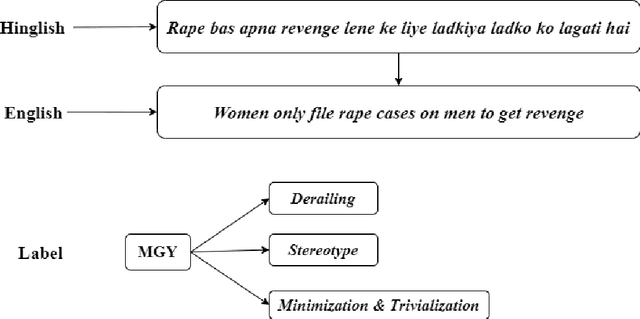 Figure 2 for Leveraging Weakly Annotated Data for Hate Speech Detection in Code-Mixed Hinglish: A Feasibility-Driven Transfer Learning Approach with Large Language Models