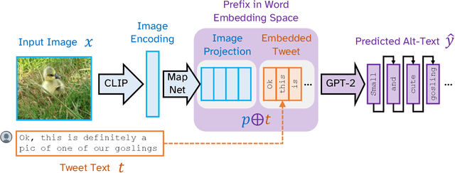 Figure 3 for Text Conditional Alt-Text Generation for Twitter Images