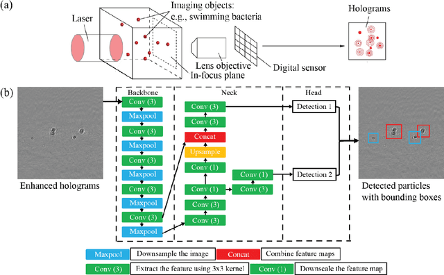 Figure 1 for In situ Biological Particle Analyzer based on Digital Inline Holography