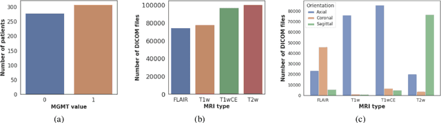 Figure 1 for MGMT promoter methylation status prediction using MRI scans? An extensive experimental evaluation of deep learning models