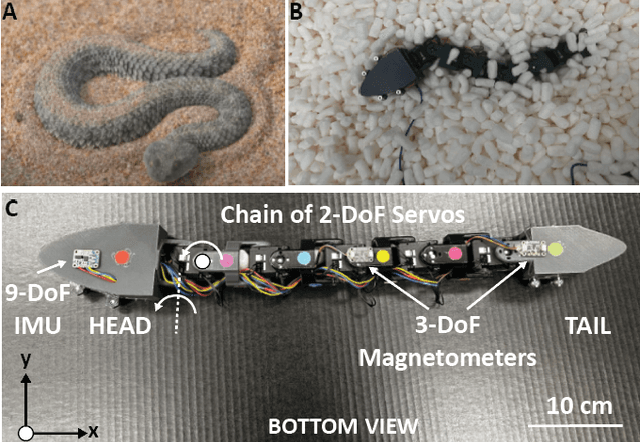 Figure 1 for Machine Learning-Driven Burrowing with a Snake-Like Robot