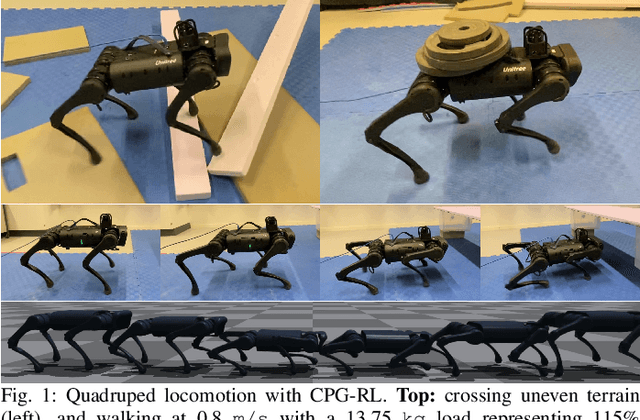 Figure 1 for CPG-RL: Learning Central Pattern Generators for Quadruped Locomotion