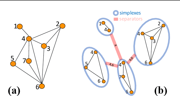 Figure 1 for Homological Neural Networks: A Sparse Architecture for Multivariate Complexity