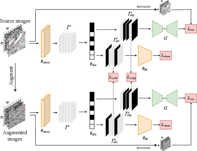 Figure 1 for ConDiSR: Contrastive Disentanglement and Style Regularization for Single Domain Generalization