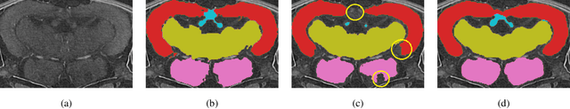 Figure 3 for A Knowledge Distillation framework for Multi-Organ Segmentation of Medaka Fish in Tomographic Image