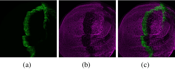 Figure 3 for Stress and Adaptation: Applying Anna Karenina Principle in Deep Learning for Image Classification