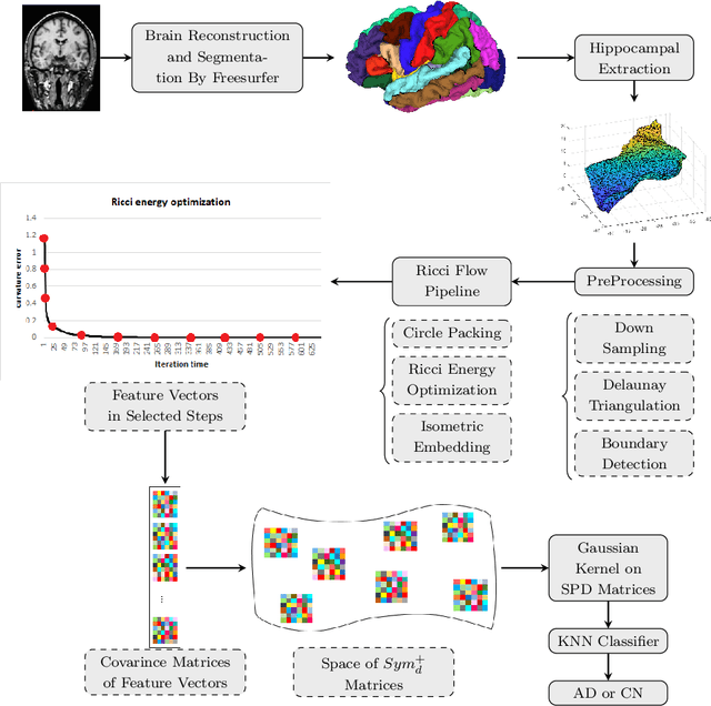 Figure 1 for Ricci flow-based brain surface covariance descriptors for diagnosing Alzheimer's disease