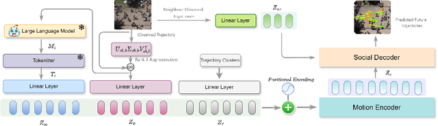 Figure 1 for LG-Traj: LLM Guided Pedestrian Trajectory Prediction