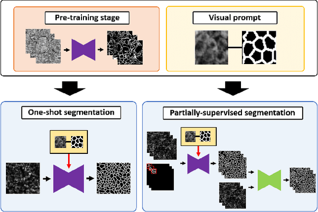Figure 1 for One-shot and Partially-Supervised Cell Image Segmentation Using Small Visual Prompt