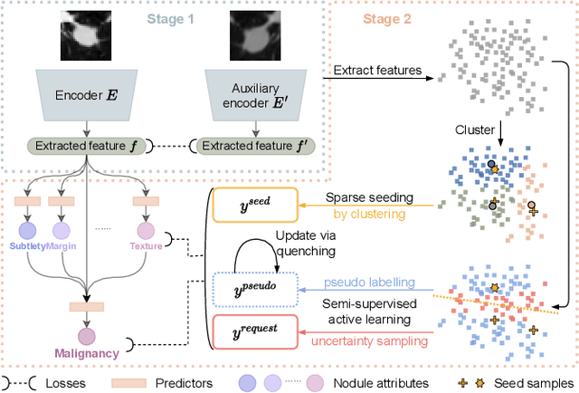 Figure 3 for cRedAnno+: Annotation Exploitation in Self-Explanatory Lung Nodule Diagnosis