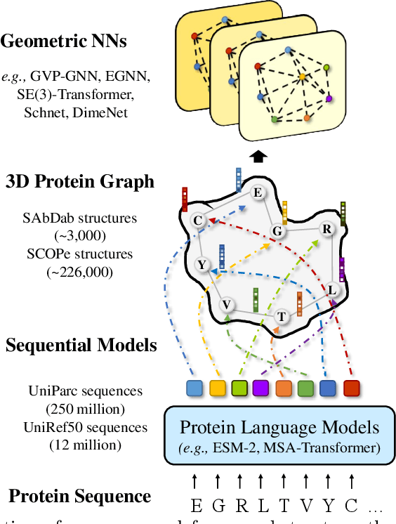 Figure 1 for When Geometric Deep Learning Meets Pretrained Protein Language Models
