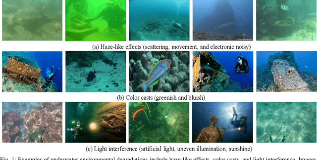 Figure 1 for Joint Perceptual Learning for Enhancement and Object Detection in Underwater Scenarios