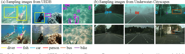 Figure 3 for Joint Perceptual Learning for Enhancement and Object Detection in Underwater Scenarios