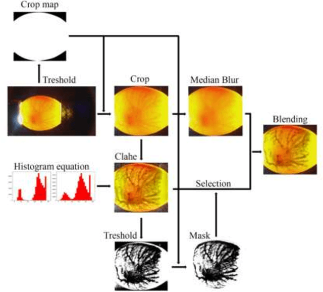 Figure 4 for Sex Detection in the Early Stage of Fertilized Chicken Eggs via Image Recognition