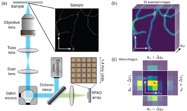 Figure 2 for Compressive Image Scanning Microscope