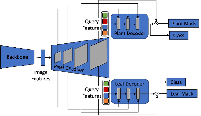 Figure 3 for Hierarchical Mask2Former: Panoptic Segmentation of Crops, Weeds and Leaves