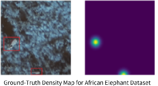 Figure 1 for Object counting from aerial remote sensing images: application to wildlife and marine mammals