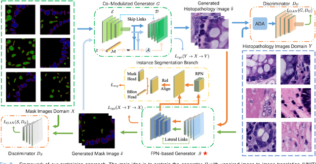 Figure 2 for Nucleus-aware Self-supervised Pretraining Using Unpaired Image-to-image Translation for Histopathology Images