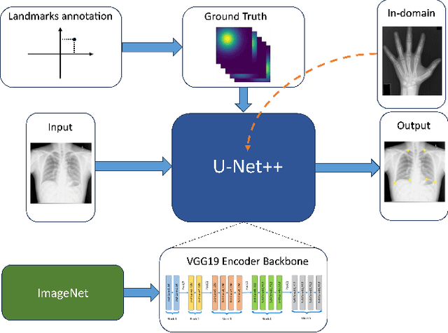 Figure 3 for Is in-domain data beneficial in transfer learning for landmarks detection in x-ray images?