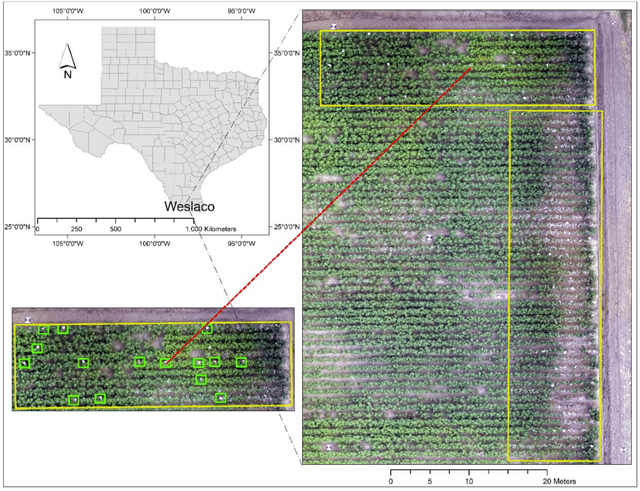 Figure 1 for Plastic Contaminant Detection in Aerial Imagery of Cotton Fields with Deep Learning