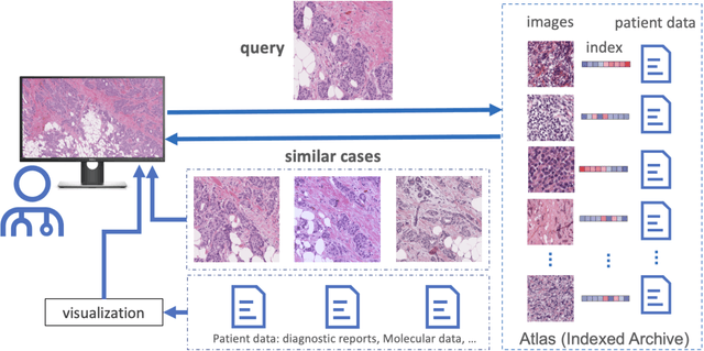 Figure 1 for Foundation Models and Information Retrieval in Digital Pathology