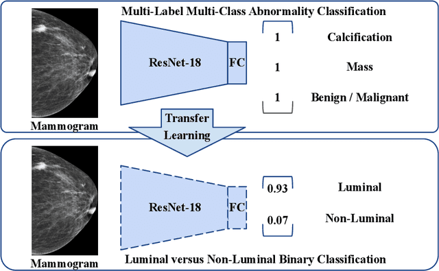 Figure 2 for Classification of Luminal Subtypes in Full Mammogram Images Using Transfer Learning