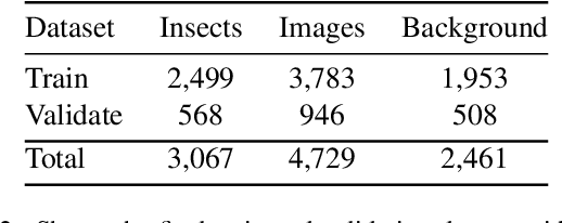 Figure 4 for Motion Informed Object Detection of Small Insects in Time-lapse Camera Recordings