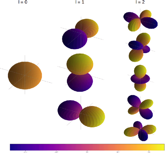 Figure 1 for A function space perspective on stochastic shape evolution
