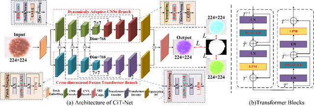 Figure 1 for CiT-Net: Convolutional Neural Networks Hand in Hand with Vision Transformers for Medical Image Segmentation
