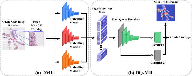 Figure 1 for Dual-Query Multiple Instance Learning for Dynamic Meta-Embedding based Tumor Classification