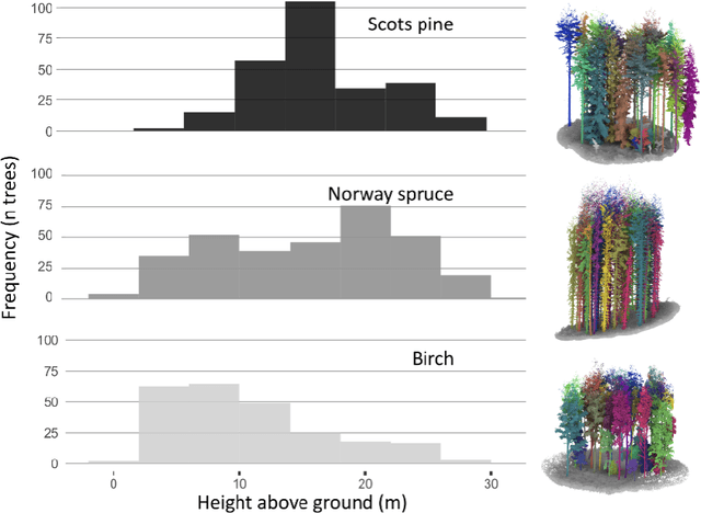 Figure 1 for Point2Tree(P2T) -- framework for parameter tuning of semantic and instance segmentation used with mobile laser scanning data in coniferous forest