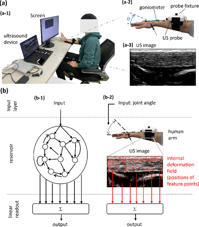 Figure 1 for Information processing via human soft tissue