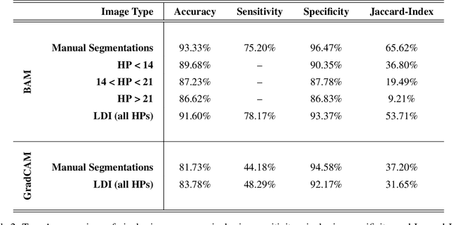 Figure 4 for Boundary Attention Mapping (BAM): Fine-grained saliency maps for segmentation of Burn Injuries