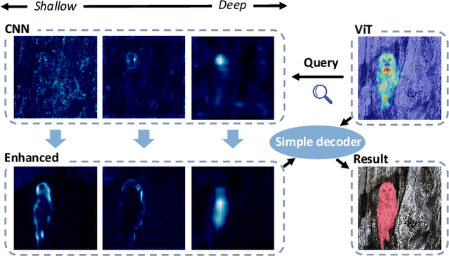 Figure 1 for DQnet: Cross-Model Detail Querying for Camouflaged Object Detection