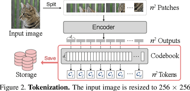 Figure 3 for SeiT: Storage-Efficient Vision Training with Tokens Using 1% of Pixel Storage