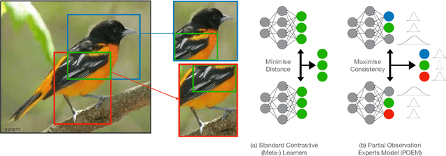 Figure 1 for Contrastive Meta-Learning for Partially Observable Few-Shot Learning