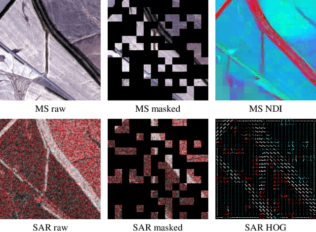 Figure 1 for Feature Guided Masked Autoencoder for Self-supervised Learning in Remote Sensing