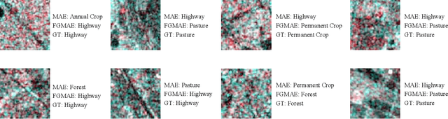 Figure 4 for Feature Guided Masked Autoencoder for Self-supervised Learning in Remote Sensing
