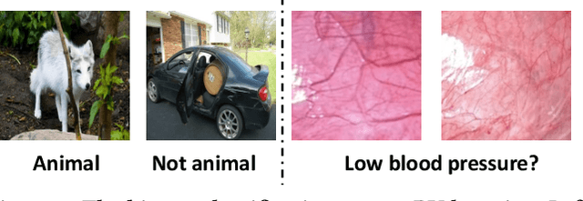 Figure 1 for Split-PU: Hardness-aware Training Strategy for Positive-Unlabeled Learning