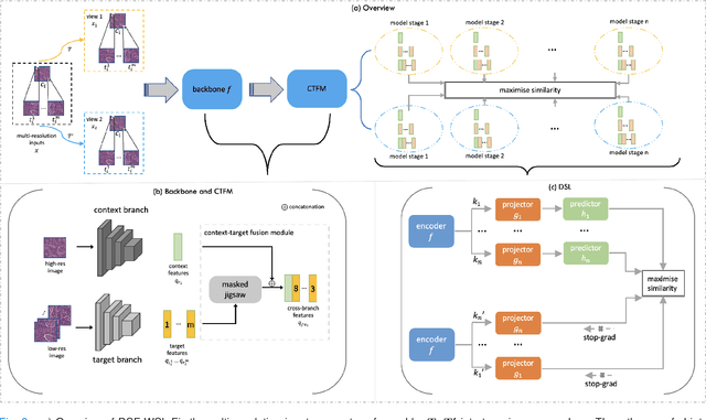 Figure 2 for A Dual-branch Self-supervised Representation Learning Framework for Tumour Segmentation in Whole Slide Images