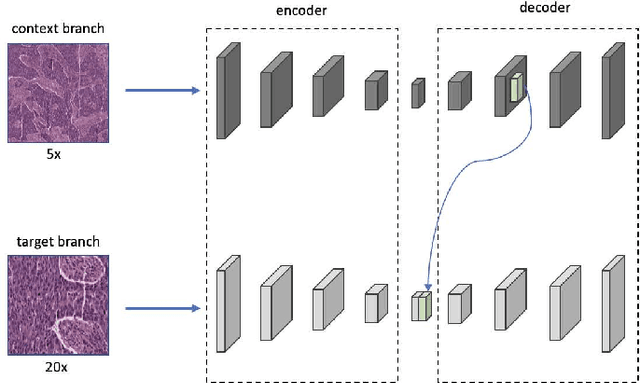 Figure 4 for A Dual-branch Self-supervised Representation Learning Framework for Tumour Segmentation in Whole Slide Images