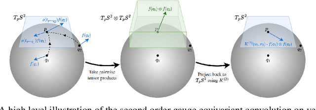 Figure 2 for Higher Order Gauge Equivariant CNNs on Riemannian Manifolds and Applications