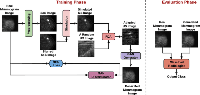 Figure 1 for Transforming Breast Cancer Diagnosis: Towards Real-Time Ultrasound to Mammogram Conversion for Cost-Effective Diagnosis