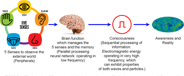 Figure 1 for Unifying Consciousness and Time to Enhance Artificial Intelligence